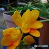 FinePix XP150ŎBeʐ^