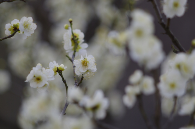 君を見つけたい by bluegeen (ID:5316847) 写真共有サイトPHOTOHITO