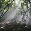 LUMIX DMC-G5W _uY[YLbgŎBeʐ^