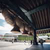 10-18mm F2.8 DC DN [tWtCp]ŎBeʐ^