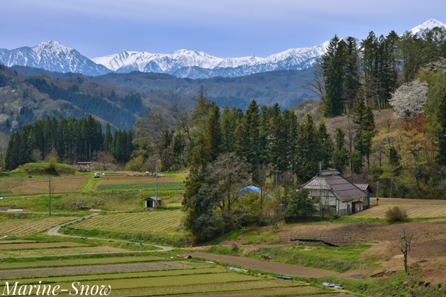 日本で最も美しい村〜小川村① by MarineSnow (ID:8673799) 写真共有サイトPHOTOHITO
