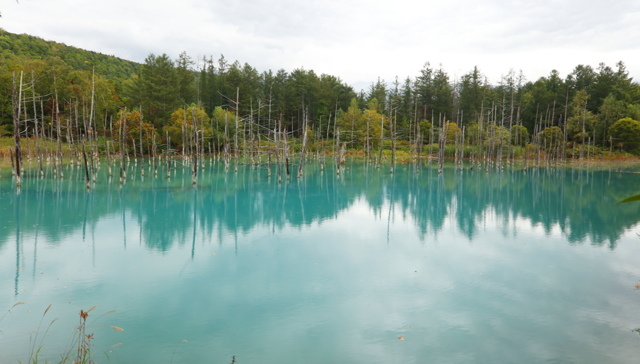 青い池 by nekocyan (ID:11333252) 写真共有サイトPHOTOHITO