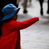 900 DSLR-A900 {fBŎBeʐ^