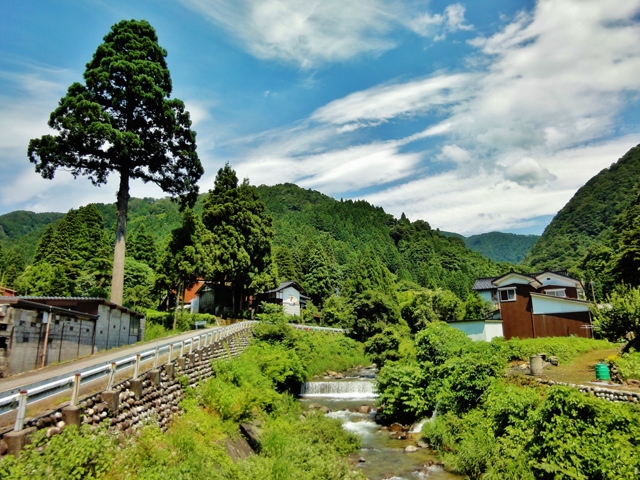 【訳あり】SONY Cyber-shot DSC-WX1 コンデジ 作例有 訳あり】SONY Cyber-shot DSC-WX1 コンデジ 作例有