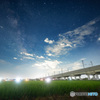 14mm F1.4 DG DN [CJLp]ŎBeʐ^