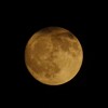 APO 50-500mm F4.5-6.3 DG OS HSM [y^bNXp]ŎBeʐ^